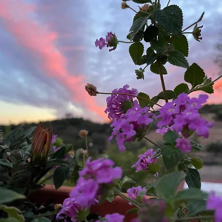 بيت ضيافة Casa Santo Antonio 3*